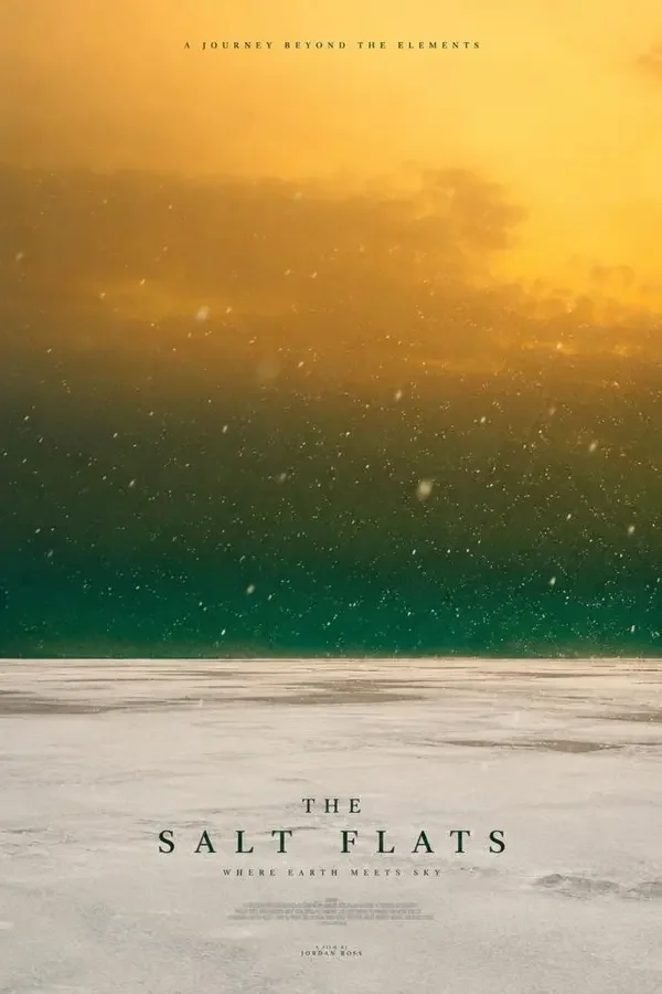盐与雪（文艺，2026）影视模板封面